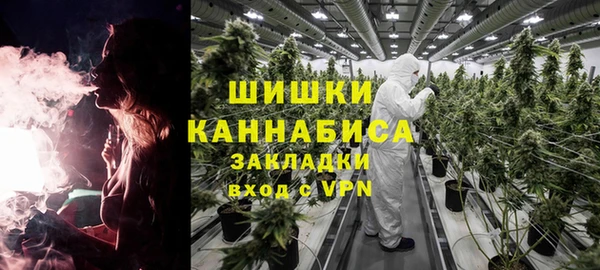 амф Алзамай