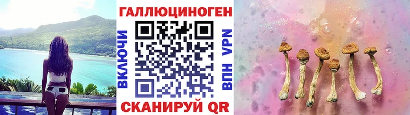 Псилоцибиновые грибы Cubensis  Дыгулыбгей 